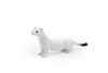 Weasel, White, Museum Quality Rubber Animal, Educational, Realistic Hand Painted Figure, Lifelike Model, Figurine, Replica, Gift,    3 1/2"      M052 B639