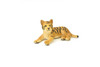 Tiger Cub, Realistic Toy Model Plastic Replica Animal, Kids Educational Gift  2.5"   M082 B644