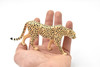 Cheetah, Realistic Toy Model Plastic Replica Animal, Kids Educational Gift  5.5"   M086 B605