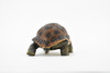 Tortoise, Turtle, Museum Quality, Plastic Animal, Educational, Realistic, Hand Painted, Figure, Lifelike Model, Figurine, Replica, Gift,     3"      M095-B606