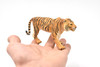 Tiger, Realistic Toy Model Plastic Replica Animal, Kids Educational Gift  6"   M099 B607