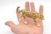 Leopard, Cat, Realistic Toy Model Plastic Replica Animal, Kids Educational Gift     5"     M105 B645