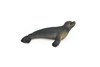 Seal, Realistic Toy Model Plastic Replica, Kids Educational Gift   4.5" OK19 B617