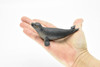 Seal, Realistic Toy Model Plastic Replica, Kids Educational Gift   4.5" OK19 B617