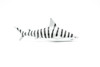 Tiger Shark, Very Nice Plastic Replica    3"  -   F1013 B118
