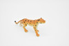 Leopard, Realistic Toy Model Plastic Replica Animal Kids Educational Gift  2 1/2"  F1031 B81