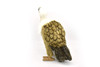 Vulture, Museum Quality Plush Bird  12 1/2-inch - F1232 B19