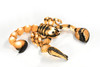 Scorpion, Stuffed Animal, Educational, Plush Realistic Figure, Lifelike Model, Replica, Gift,       16"    F1342 B105