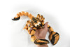 Scorpion, Stuffed Animal, Educational, Plush Realistic Figure, Lifelike Model, Replica, Gift,       16"    F1342 B105