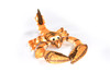 Scorpion, Very Nice Stuffed Animal 16"  -   F1343 B29