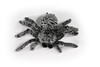 Tarantula Spider, Very Nice Plush Spider, Stuffed Insect, Educational, Realistic Figure, Lifelike Model, Replica, Gift,         12"         F1344 B72