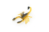 Scorpion, Arachnids, Orange & Brown, Rubber  Educational, Desert Arachnid, Realistic Figure, Model, Replica, Kids, Toys, Gift,     2 1/2 Inches. 