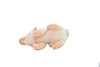 Pig Pink Cute Soft Stuffed Realistic Plush Animal, Gift, Educational Toy 10 " F1549 B323                         