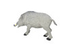 Boar, Wild Pig, Very Nice Plastic Animal, Educational, Realistic Hand Painted Figure, Lifelike Model, Figurine, Replica, Gift,   5 1/2"    F159 B24
