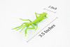 Praying Mantis, Rubber Insect, Toy, Realistic Figure, Model, Replica, Kids Educational Gift,    3 1/2"     F1657B74