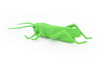 Grasshopper, Plastic Toy Animal, Kids Gift, Realistic Figure, Educational Model, Replica, Gift,    3 inches long     F1661 B74