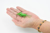 Grasshopper, Plastic Toy Animal, Kids Gift, Realistic Figure, Educational Model, Replica, Gift,    3 inches long     F1661 B74