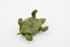 Turtle, Box Turtle, Pond Turtle, Plastic Reptile, Educational, Realistic, Figure, Lifelike Model, Figurine, Replica, Gift,       1 3/4"    F1666 B63