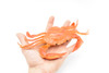 Crab, Orange, Saltwater, Squeakee, Rubber, Crustacean Design, Educational, Hand Painted, Figure, Lifelike, Model, Replica, Gift       9"       F1680 B98