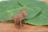 Kangaroo with Baby, Joey, Australian outback Marsupial, Very Nice Rubber Design, Educational Figure, Lifelike, Diorama Model, Toy, Kids,  2 1/2 Inches.