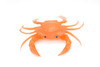 Crab, Orange Crab, With Squeak, Squeakey, Rubber, Crustacean Design, Educational, Hand Painted, Figure, Lifelike, Model, Replica, Gift       7"       F1764 B188