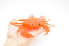 Crab, Orange Crab, With Squeak, Squeakey, Rubber, Crustacean Design, Educational, Hand Painted, Figure, Lifelike, Model, Replica, Gift       7"       F1764 B188