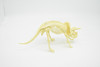 Triceratops Dinosaur, Realistic Toy Plastic Skeleton Model 9"  F1809 B303