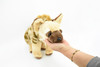 Hyena, Hyaenas, Hyaenidae, High Quailty Plush Animal,   14" F1827 B148