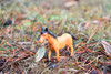 Horse Realistic Small Toy Model Plastic Replica Barn Animal, Kids Educational Gift  3"  F1851 B139