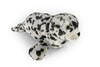 Seal, Harbor Seal, Realistic Stuffed Soft Toy Educational Kids Gift, Plush Animal   17"    F1857 B202