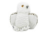 Snowy Owl, Very Nice Stuffed Animal    12"    -     F1860 B401