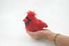 Cardinal, Bird, Northen, Cardinal-grosbeaks, Realistic, Lifelike, Stuffed, Bird, Soft, Toy, Educational, Animal, Kids, Gift, Very Nice, Plush Animal,        6 1/2"     F1883 B326