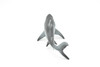 Great White Shark, Museum Quality Plastic Replica    7"   -   F1960 B21