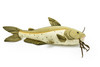 Channel Catfish, Fish, Very Nice Plush Fish, Stuffed Animal, Educational, Toy, Kids, Realistic Figure, Gift,       17"