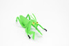 Praying Mantis, Rubber Insect, Toy, Realistic Figure, Model, Replica, Kids Educational Gift,      6"      F2060 B134