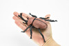 Rhinoceros Beetle, Very Nice Plastic Replica  4 1/2"   -    F2061 B133