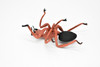 Carpenter Ant, Red Very Nice Rubber Replica   5 inches long   -   F2064 B134