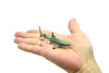 Black Tip Reef Shark,  Very Nice Plastic Replica    3"   -   F233 B76