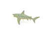 Tiger Shark, With Fish in Mouth, Very Nice Plastic Replica    3"  -   F237 B76