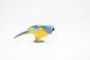 Macaw Parrot, Blue & Gold, Very Nice Plastic Reproduction   2 1/2"   F3009 B109