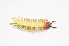 Centipede, Giant, Red, Very Nice Rubber Insect, Educational, Hand Painted, Realistic, Replica, Toys, Kids, Gift,   3 1/2 Inches.       F3126 B225
