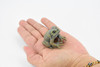 Cane Toad, Very Nice Rubber Amphibian, Educational, Hand Painted, Realistic, Rainforest, Replica, Toys, Kids, Gift,     2 1/2 Inches.
