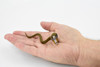 Common Indian Cobra, Rubber Snake, Reptile, Educational, Realistic, Hand Painted, Figure, Lifelike, Toys, Kids, Gift,     4 Inches. 