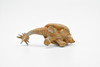 Doedicurus, Giant Armadillo Glyptodont, Educational, Realistic, Hand Painted, Diorama Figure, Lifelike Model, Gift,   2 1/2 Inches.    F3136 B224