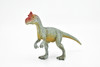 Cryolophosaurus Dinosaur, Museum Quality Plastic Replica  6"  - F3248 B144