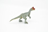 Cryolophosaurus Dinosaur, Museum Quality Plastic Replica  6"  - F3248 B144