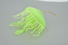 Jellyfish, Sea Jelly, Green, Gelatinous zooplankton, Rubber, Jelly fish, Design, Educational, Figure, Lifelike, Model, Replica, Gift,    3 1/2"     F3385 B106