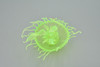 Jellyfish, Sea Jelly, Green, Gelatinous zooplankton, Rubber, Jelly fish, Design, Educational, Figure, Lifelike, Model, Replica, Gift,    3 1/2"     F3385 B106