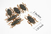 Cockroach, Flexible,  Very Nice Rubber Reproduction   2"     F3399 B39