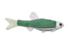 Fish, Minnow, Cyprinidae and Leuciscidae Stuffed Fish, Educational, Realistic Plush, Lifelike Shiny, Replica, Gift,   9"